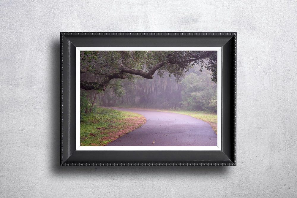 Florida woodland photograph The Path Unknown showing an early misty morning leading down a curved pathway in a Florida woodlands in a framed picture on a stone wall