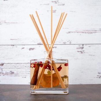 Front view of the Andaluca Apple cider Cinnamon Fall Diffuser without the diffusers against a rustic backdrop